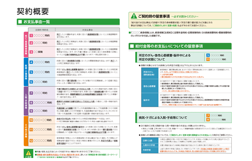 保険・金融向け募集文書作成、審査ソリューション